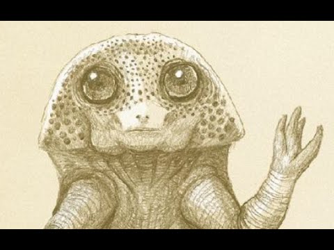 www.youtube.com