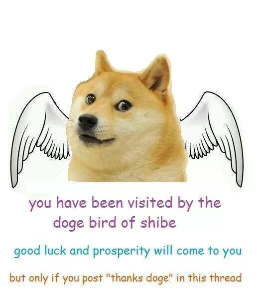 Gg0BLSh.jpg