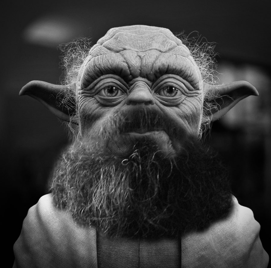 nitter.net