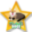 transdoge.com