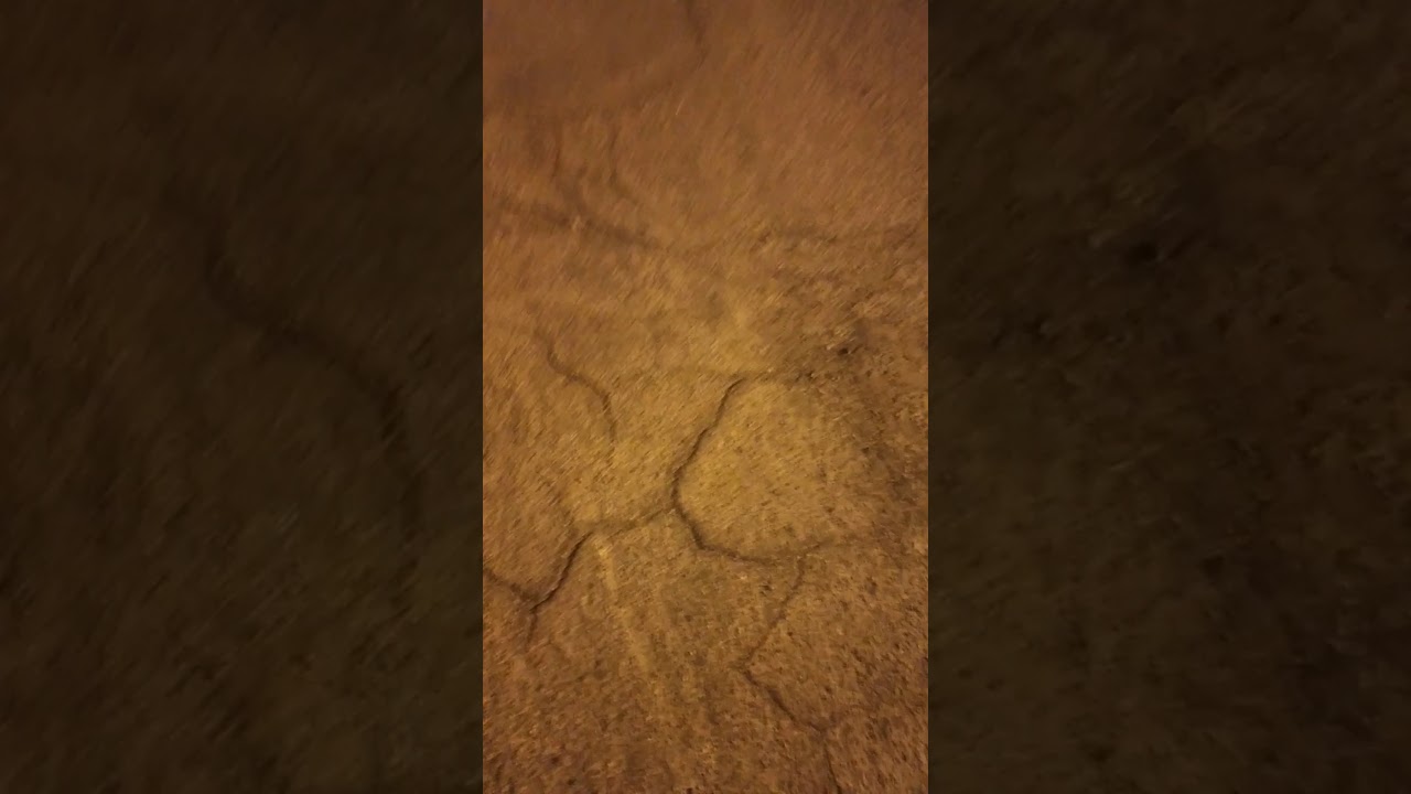 www.youtube.com