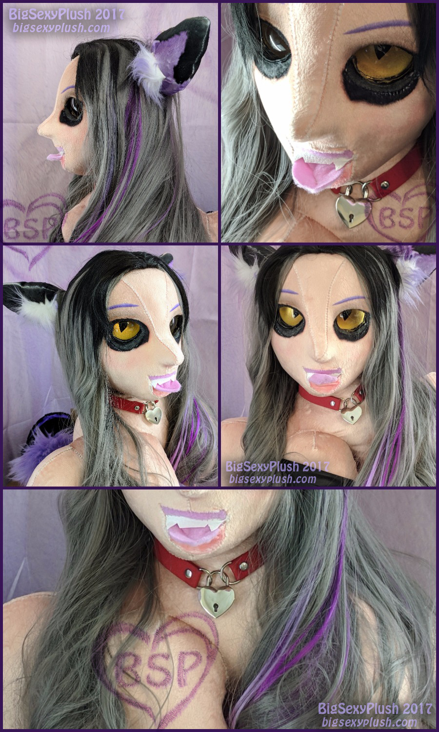 cheshire_collage.jpg