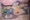 cwcsonichuducksmilie-jpg.333