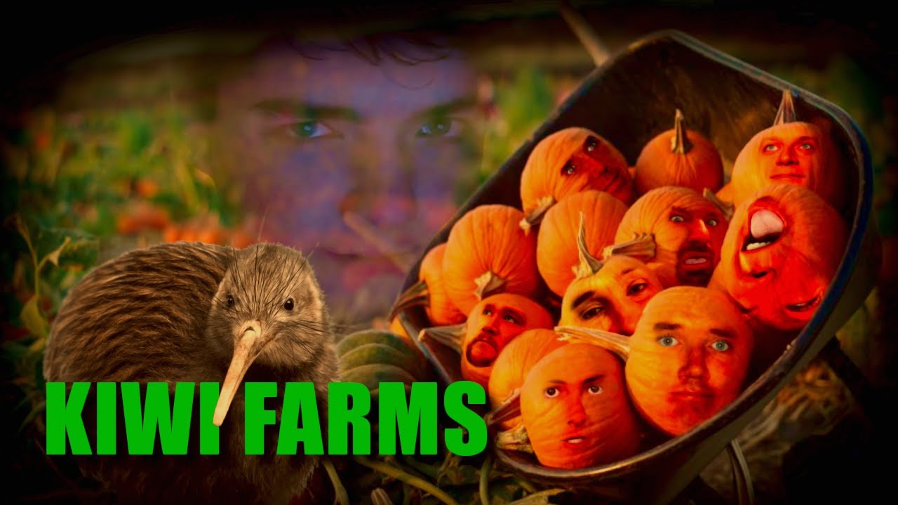 www.youtube.com