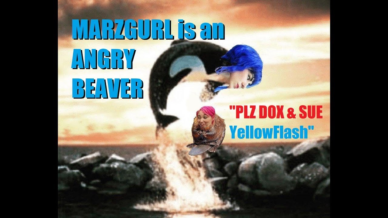 www.youtube.com