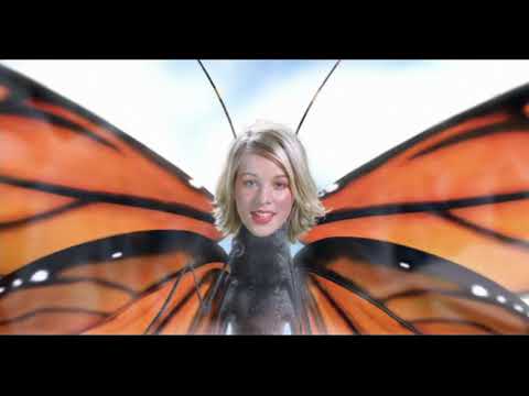 www.youtube.com