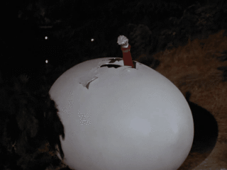 14916yv.gif