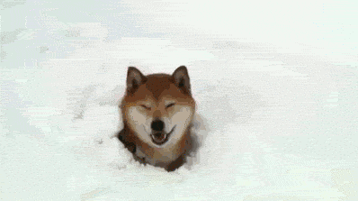 nbdlyhC.gif