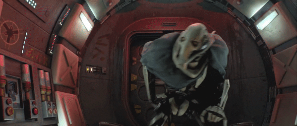 HeftyHilariousBudgie-size_restricted.gif