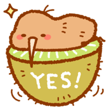 0003968883_B.PNG