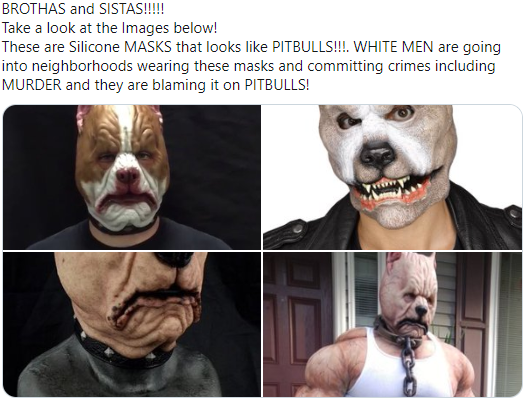 5y4pnoo064g11.png