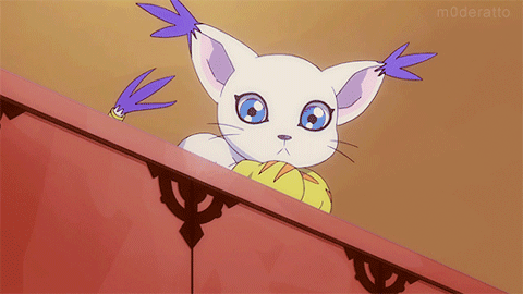 dTZaUPe4_o.gif