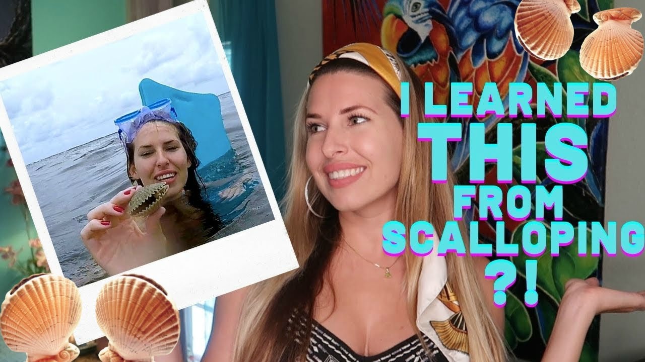 www.youtube.com