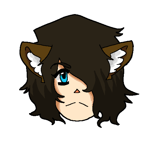 142fns4.png