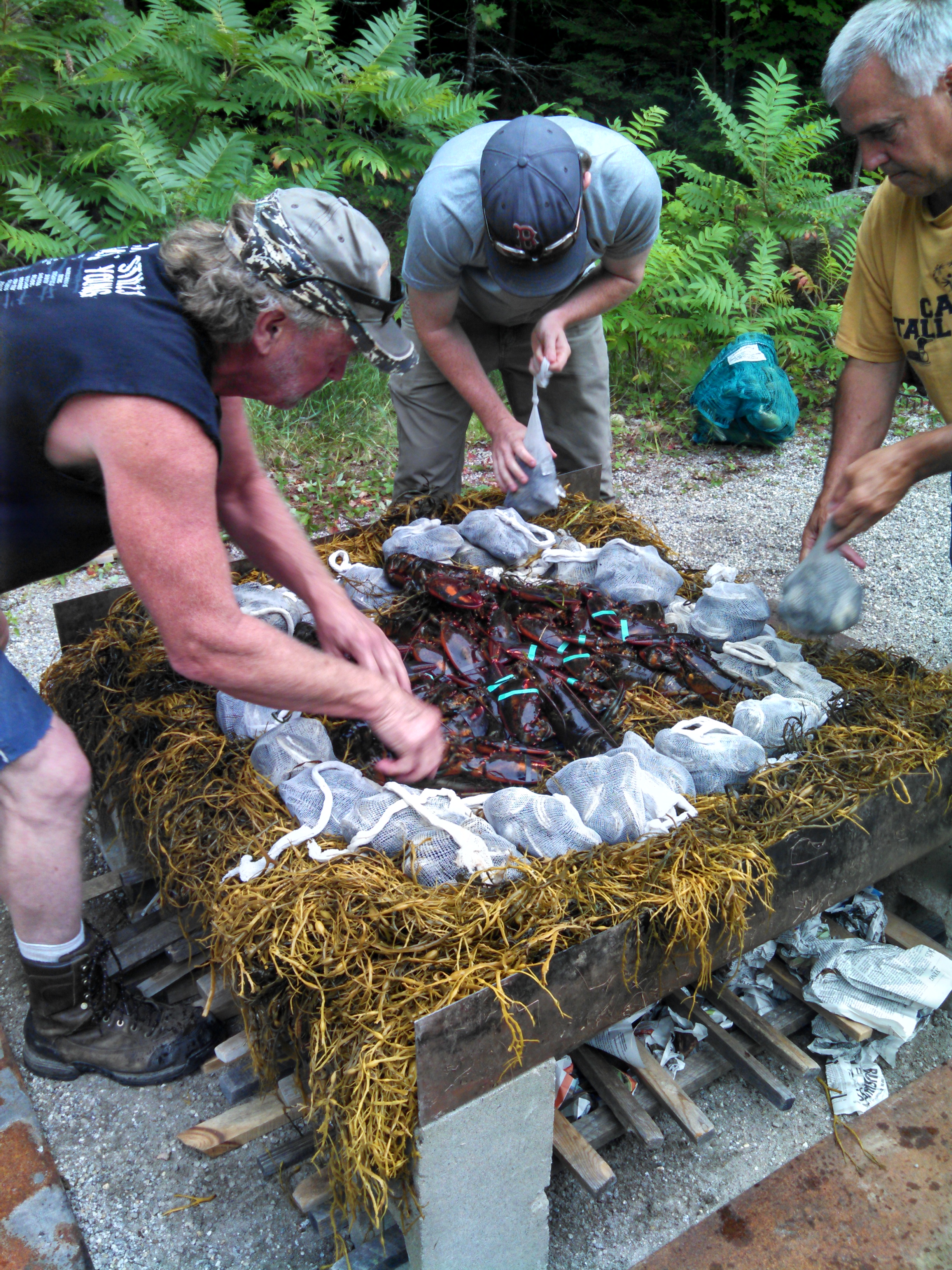 lobster-bake1.jpg
