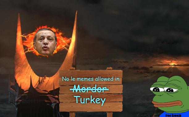erdogean.jpg
