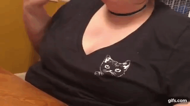 rRpxzk.gif
