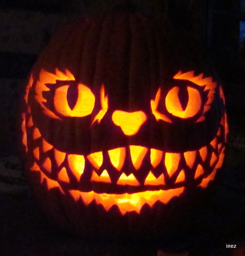 135867_29Oct11_DSC07232.JPG