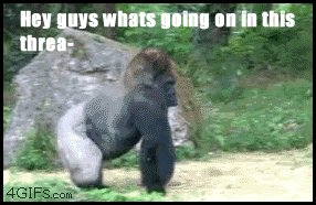 b1lBW.gif