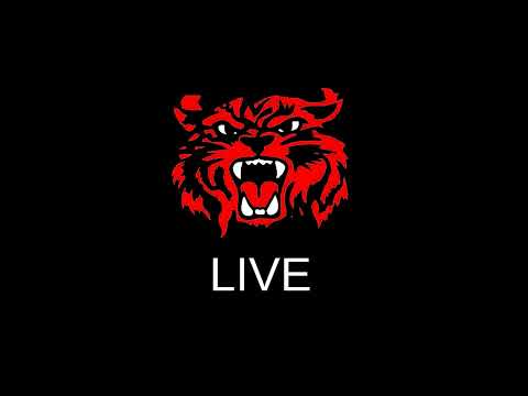 www.youtube.com