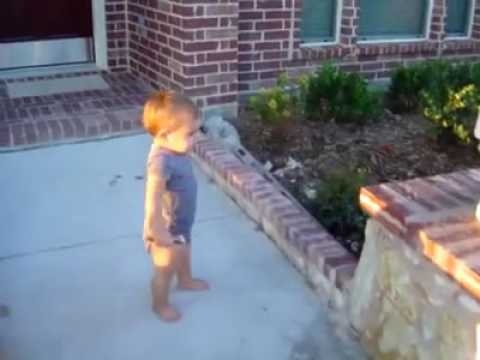 www.youtube.com