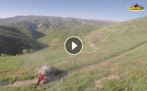 gerilatv.com