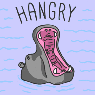 giphy_6.gif