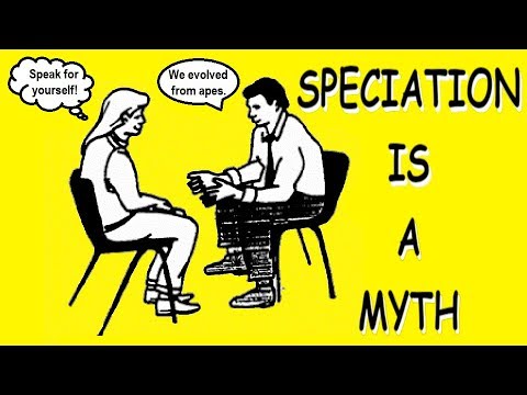 www.youtube.com