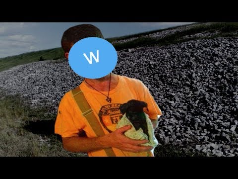www.youtube.com