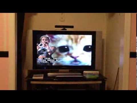 www.youtube.com