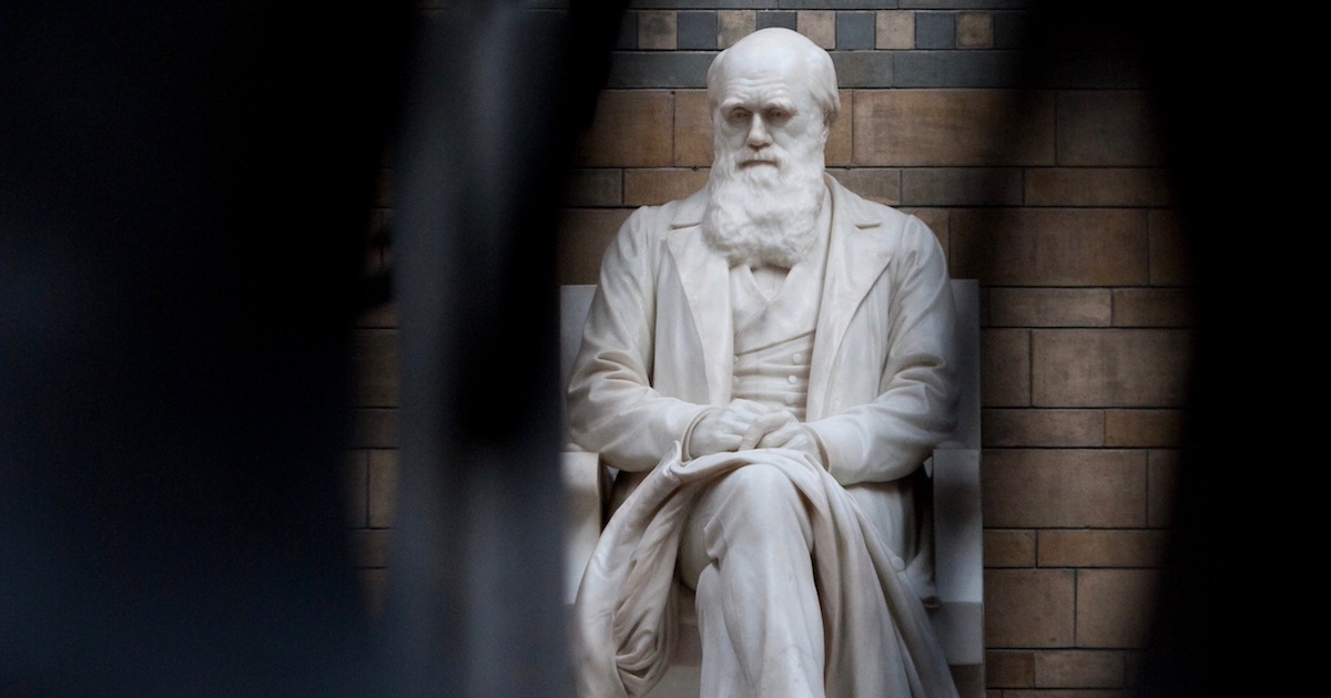 evolutionnews.org