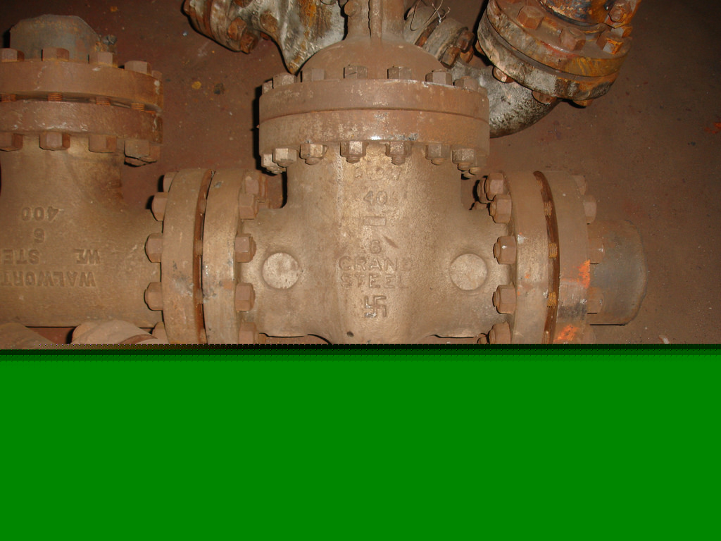 3440819124_de86b5b932_b.jpg