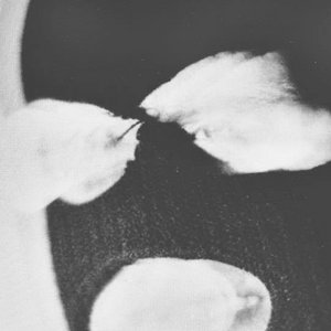 makeupandvanityset.bandcamp.com