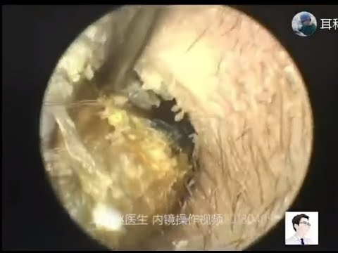 www.youtube.com