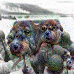 09f887fa-8ca6-483a-8d99-4d92a823dd38.jpeg