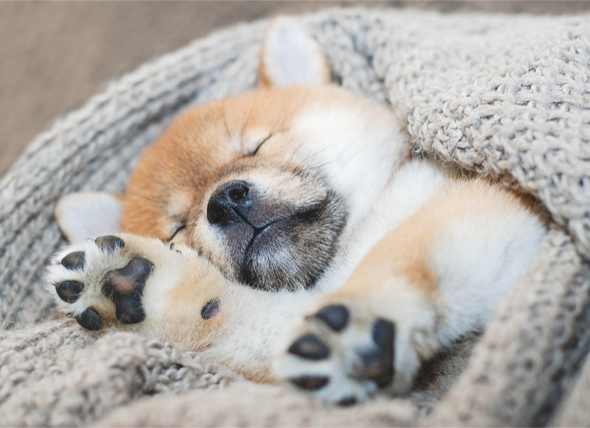 shutterstock_395310793.jpg