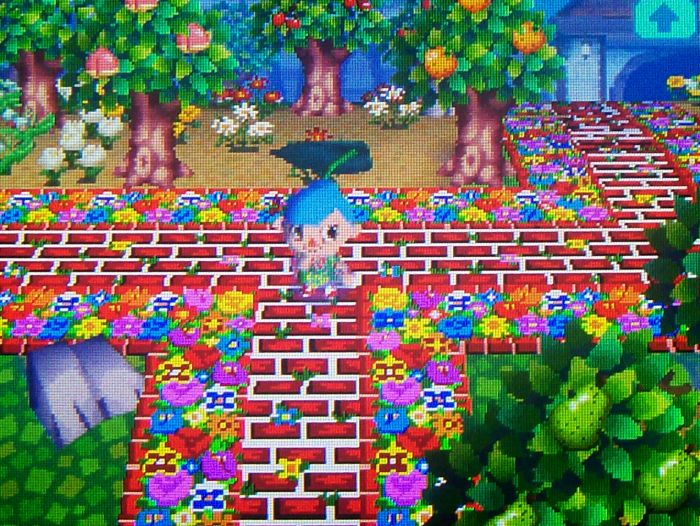 13-path-by-my-house.jpg