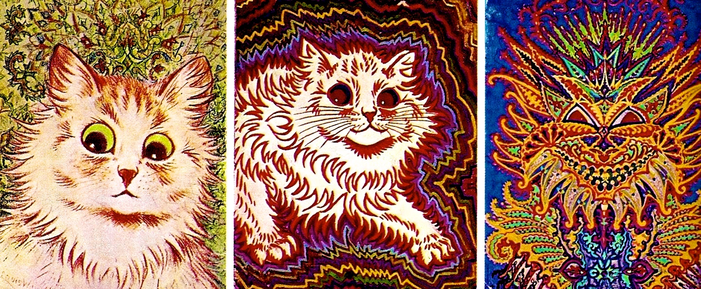schizophrenic-cat-1.jpg