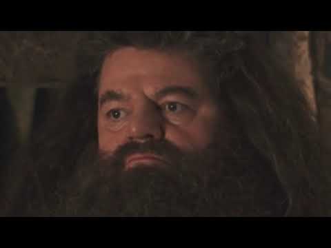 youtu.be