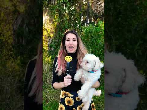 www.youtube.com