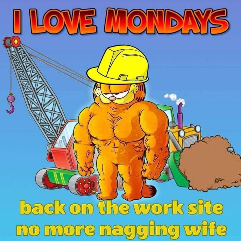 sxfvwn.jpg