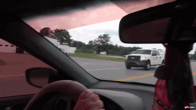 dpichsL.gif