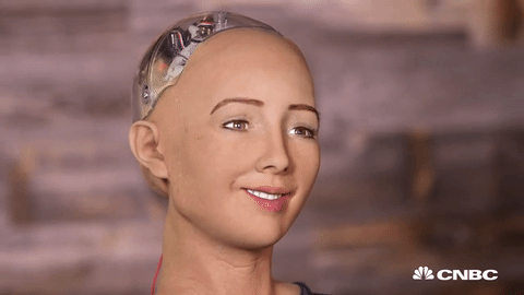giphy__3_.gif