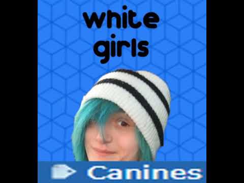 www.youtube.com