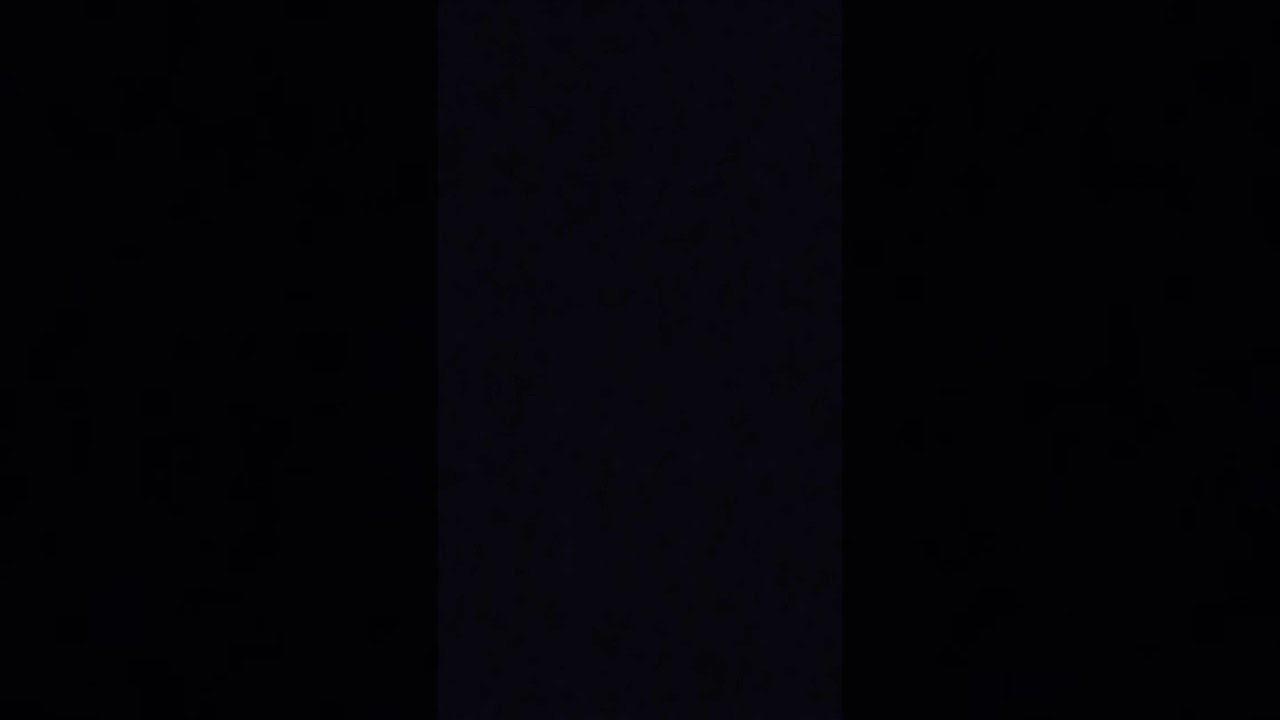 www.youtube.com