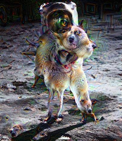 ce51b4c8-be68-4810-9de5-b2b419903a12.jpeg