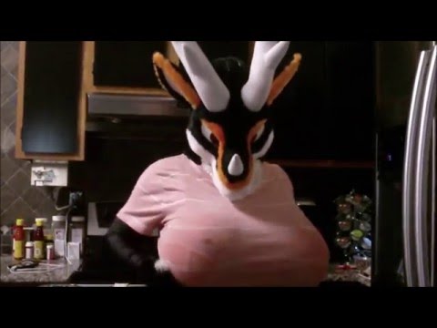 youtu.be