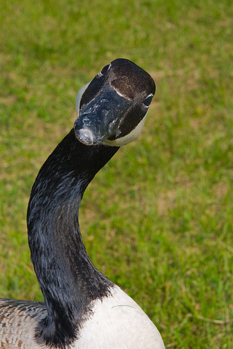467933698_4052d84bfd.jpg