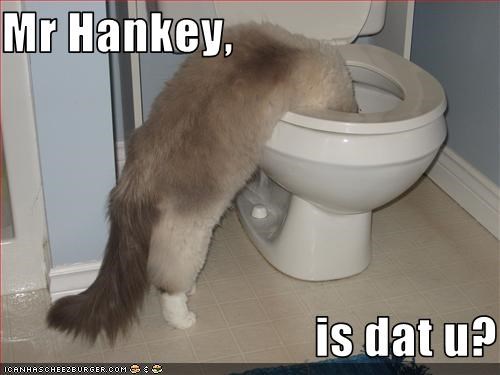 h82BA06A4
