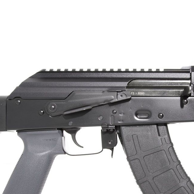 www.thefirearmblog.com